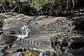 Kbal Spean, called also River of the Thousand Lingas, the riverbed and banks have been graven with linga and various sacred images of hindu divinities 